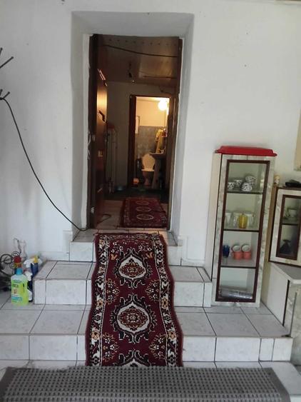Casa de vanzare cu curte,gradina 2500mp - 6