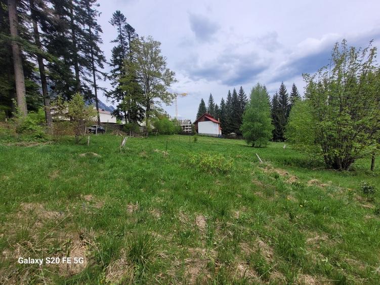 Teren Construcții intravilan de 2300 mp, în Palanca