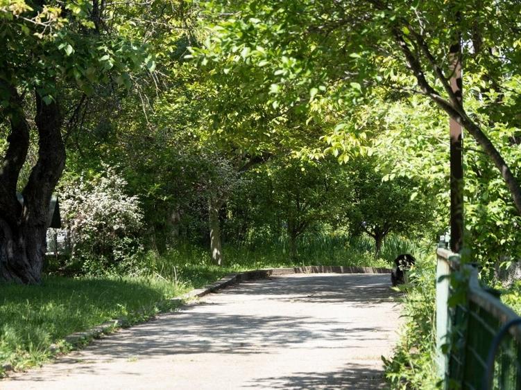 Casă individuală cu 9 camere cu Piscina în Snagov