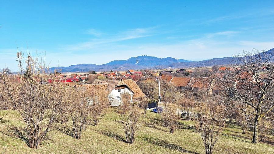 Teren Construcții extravilan de 17000 mp, în Tohanu Nou
