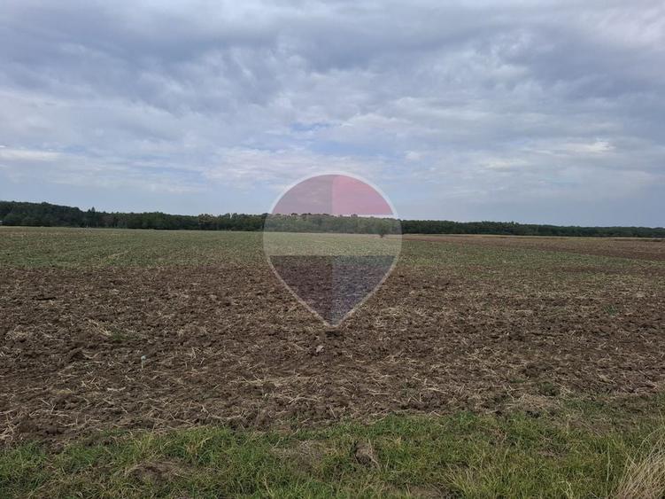 Investitie vanzare teren intravilan 26.666mp la DN3| Vizavi de Makita| - 4