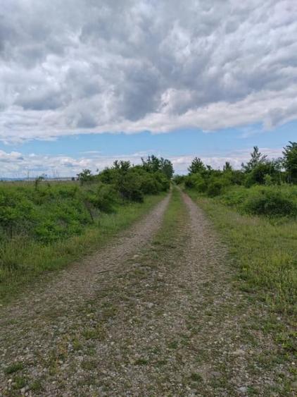 Teren de 114000 mp, în Ariceștii Rahtivani