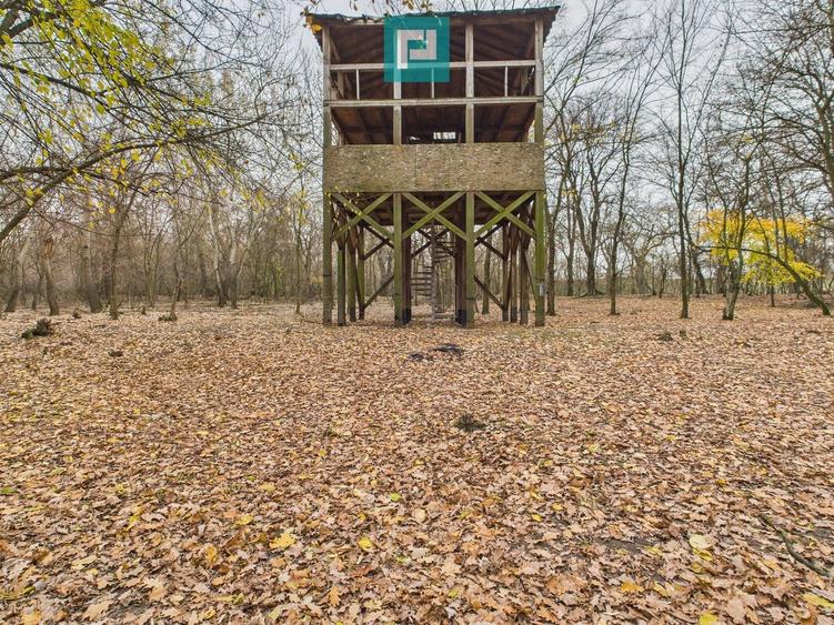Teren extravilan de 5000 mp, în Periam
