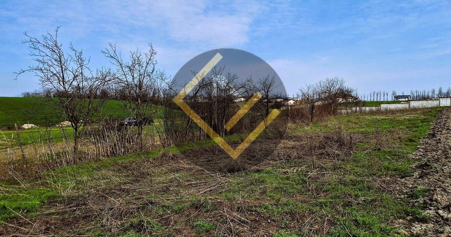 Teren Construcții intravilan de 5000 mp, în Moara Domnească