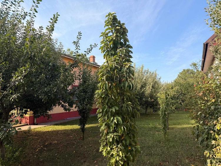 Casa cu teren 1.900 mp si deschidere 23 m | Dragomiresti Deal, Ilfov | Potential rezidential si investitional - 5