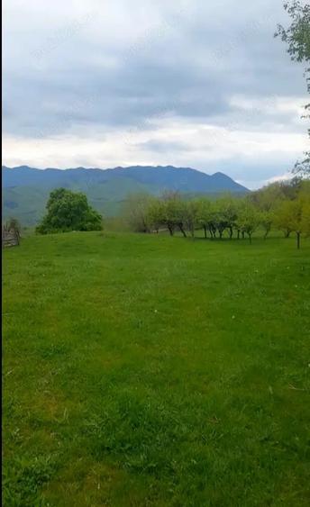 Teren de 26000 mp, în Rădăcinești