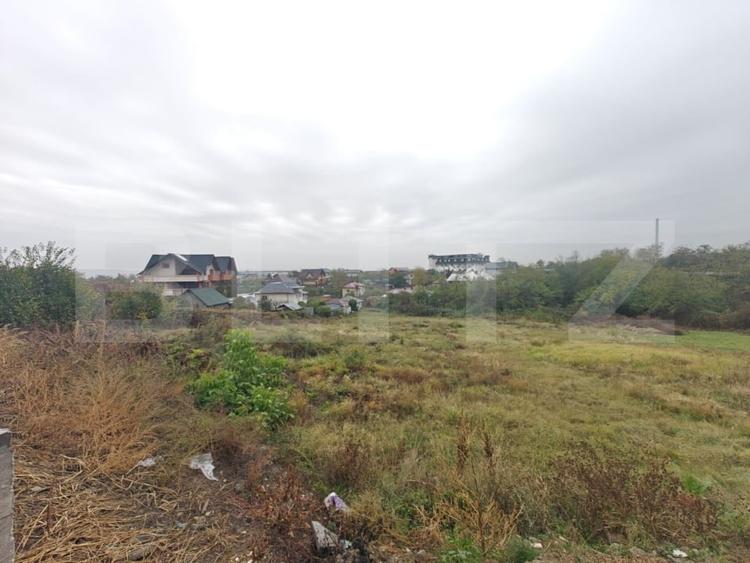 Teren Construcții intravilan de 6000 mp, în Geamăna
