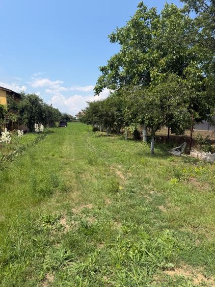Teren de 3899 mp, în Filipeștii de Pădure
