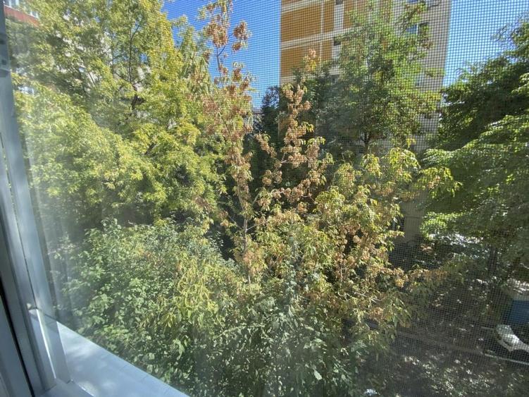 Apartament cu 3 camere decomandat în Olteniței
