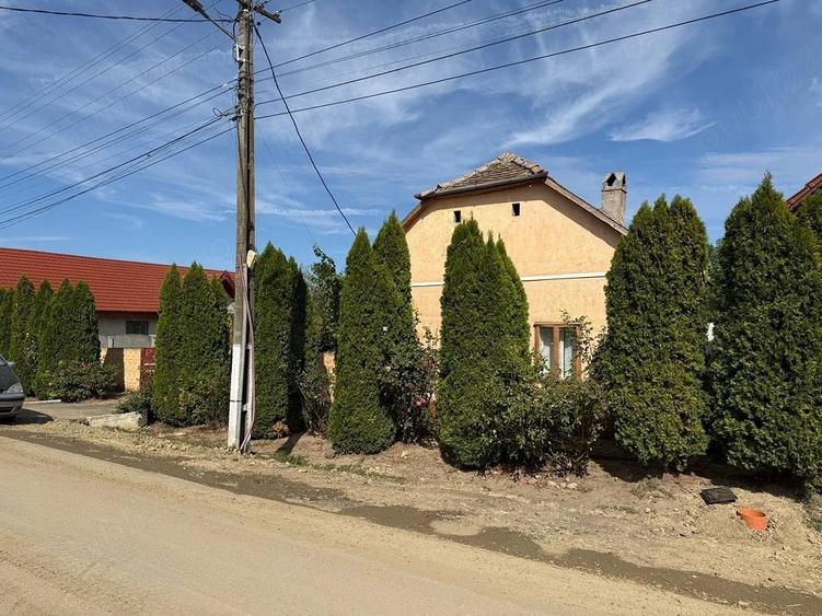 Vand casa in Peciu Nou - 3