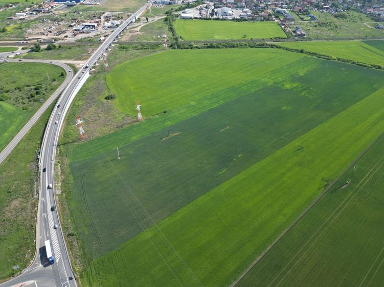 Teren agricol extravilan de 28089 mp, în Nord