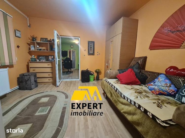 Casa Brailita sup 577 mp ,mobilata complet - 3
