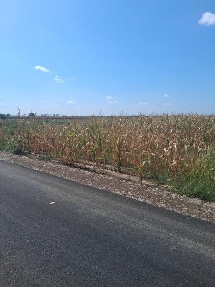 Teren de 3750 mp, în Periș