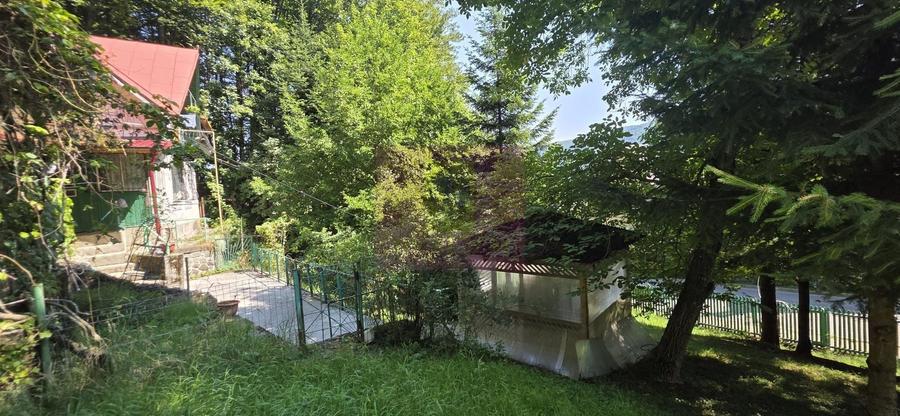 Teren Construcții intravilan de 979 mp, în Furnica