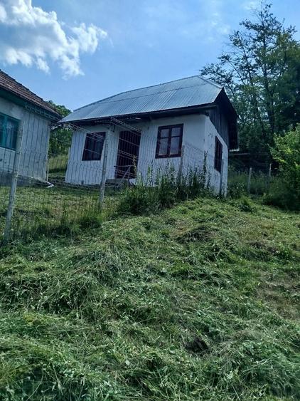 Casă cu 3 camere în Vadu Oii