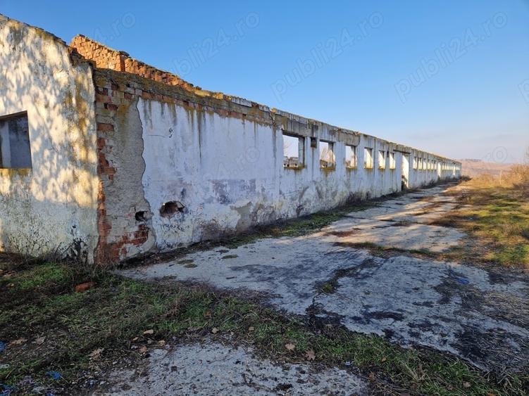 Teren de 15000 mp, în Cămărașu