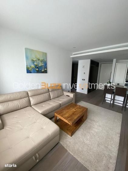Apartament 2 camere Herastrau - 19