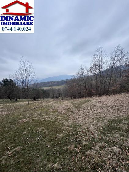 Teren agricol intravilan de 6000 mp, în Bistrița