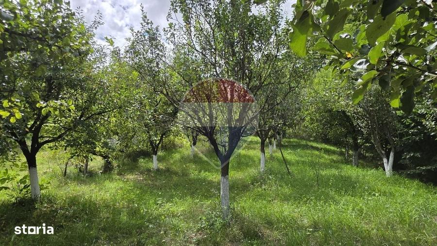 Casă cu 2 camere în Elciu