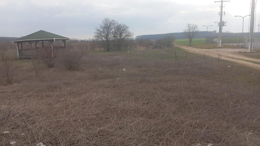 Teren Construcții intravilan de 17798 mp, în Dragomirești-Deal