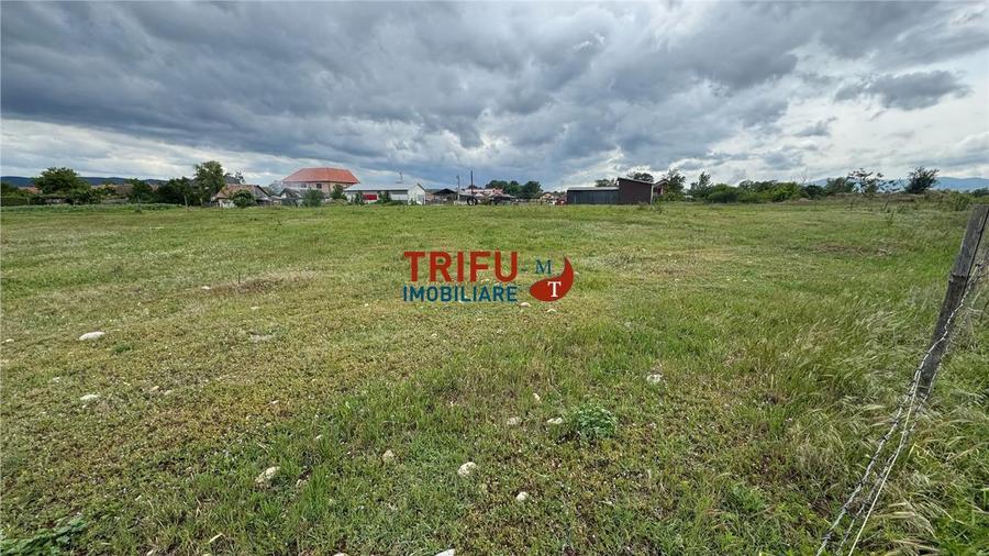 Teren Construcții intravilan de 5500 mp, în Sebeș