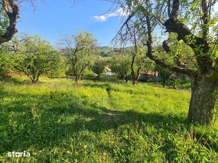 Teren de 950 mp, în Păușești