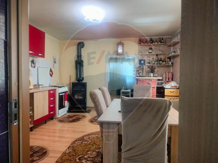 Casa la tara in satul Retis, comuna Bradeni, aproape de ... - 6