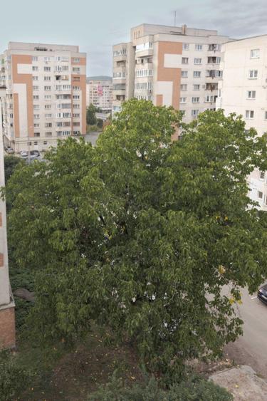Garsonieră decomandată în Mănăștur