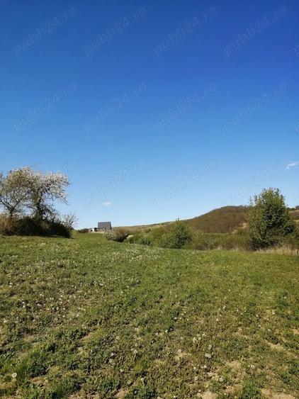 Teren de 4100 mp, în Ampoița