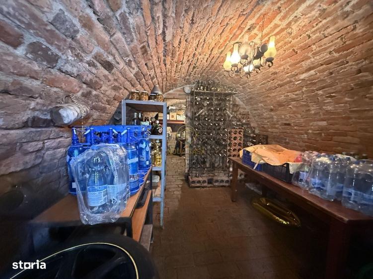Casă cu 4 camere în Viile Satu Mare