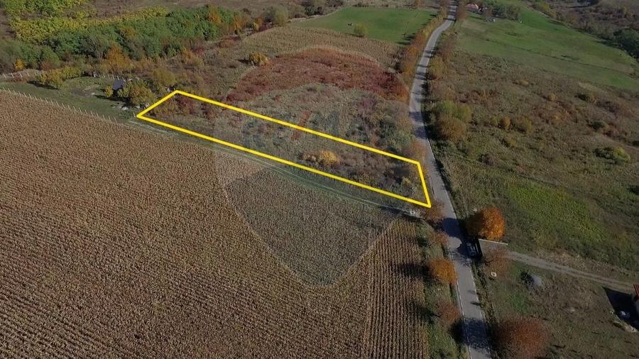 Teren agricol intravilan de 2556 mp, în Pădureni (Chinteni)
