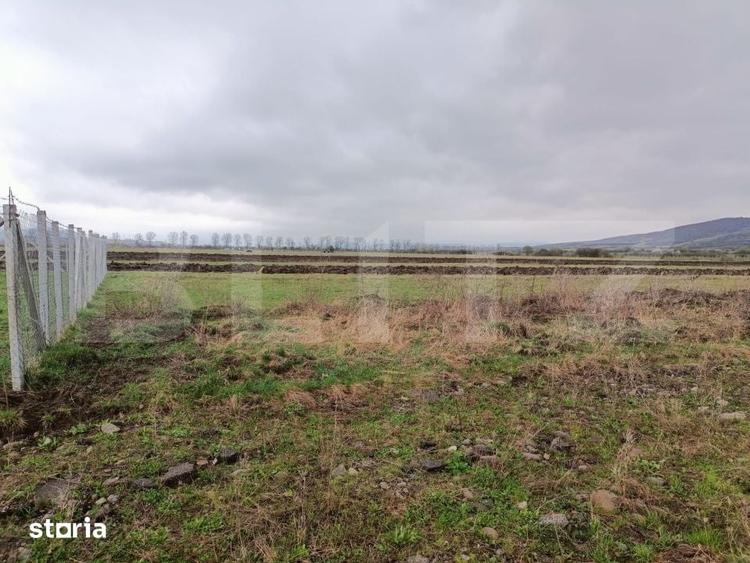 Teren de 9500 mp, în Central