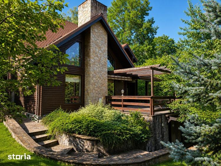 Mountain Chalet | Private Resort | Investment - Nistoresti - 16