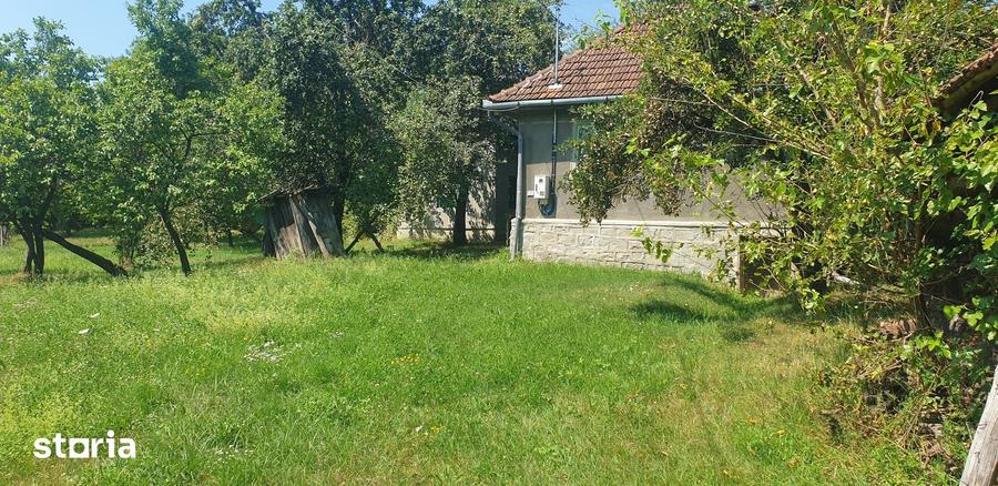 Casă cu 2 camere cu Teren 3000 Mp în Zdrapți