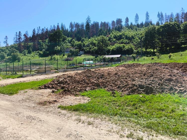 Teren Construcții intravilan de 2000 mp, în Cristian
