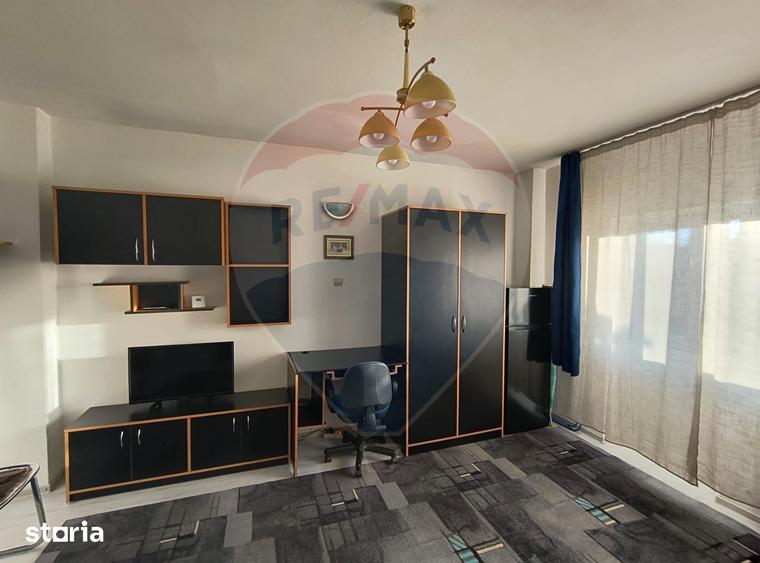 Apartament cu o camera de inchiriat in zona Central - 7