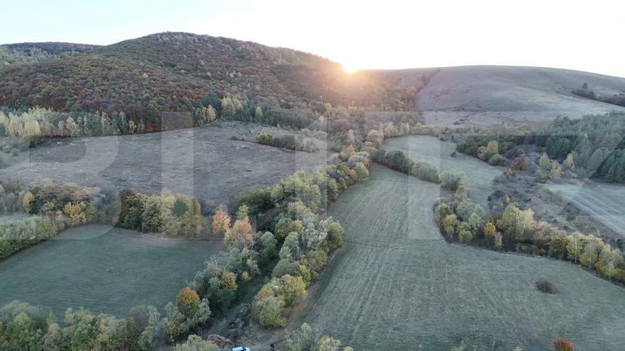 Teren agricol extravilan de 36200 mp, în Măgheruș