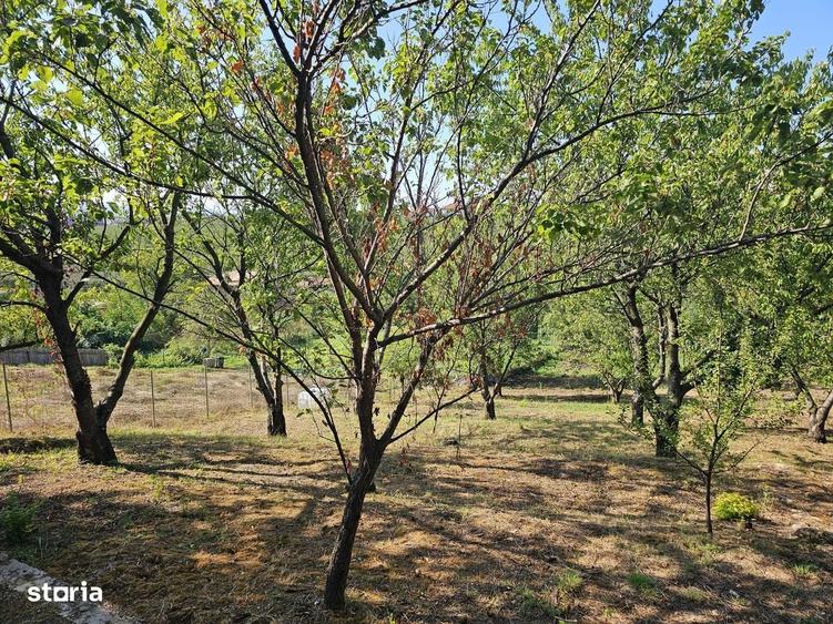 Vila rustica cu teren ca la munte 1291 mp semi central Iasi - 12