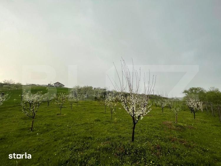 Teren de 4447 mp, în Pielești