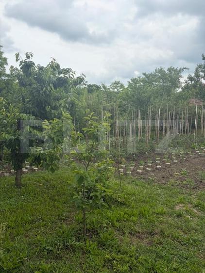 Casă individuală cu 3 camere cu Canalizare în Cornești (Crăciunești)