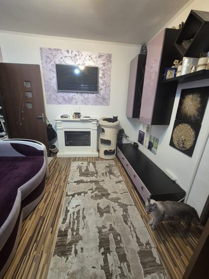 Apartament cu 3 camere semidecomandat, mobilat în Valea Rosie