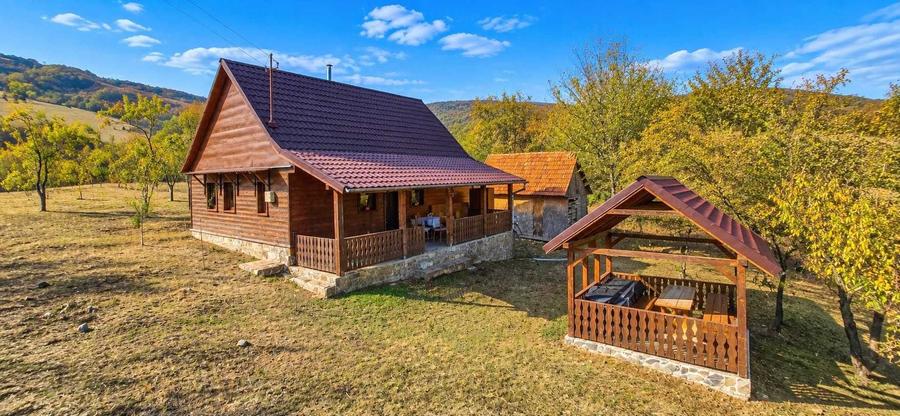 Casă cu 2 camere în Dumbrăvița