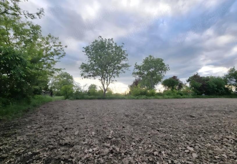 Teren de 2000 mp, în Dărmănești