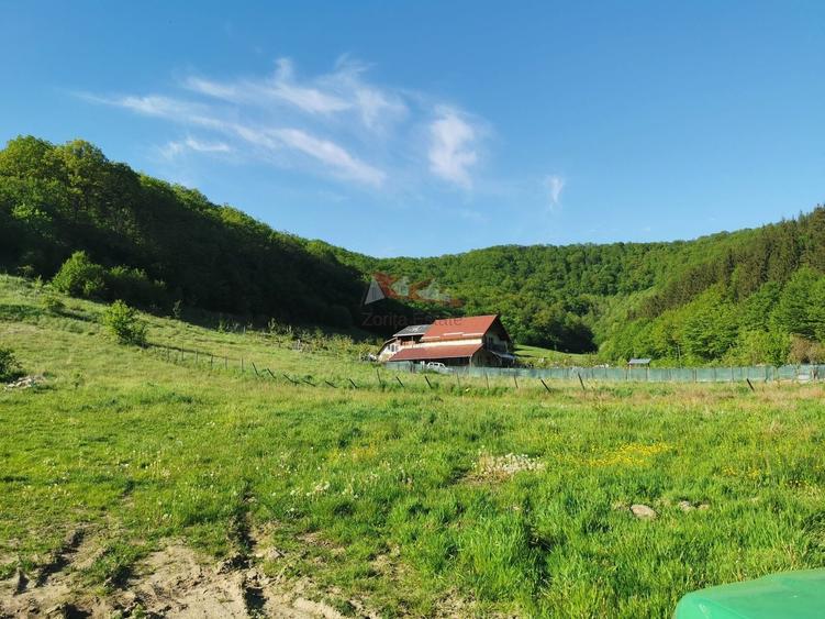 Teren Construcții intravilan de 729 mp, în Nord-Vest