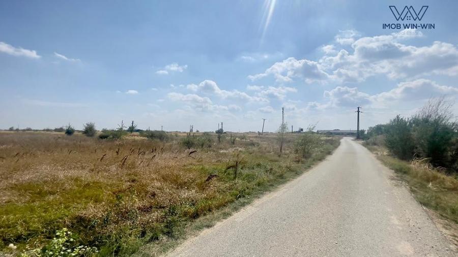 Teren Construcții intravilan de 6090 mp, în Albota