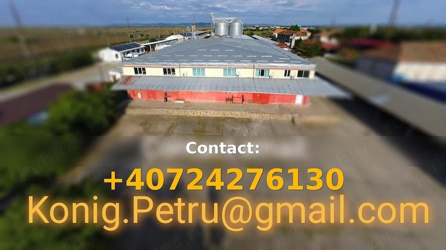 Spațiu comercial, de 13,917 mp, în Vladimirescu