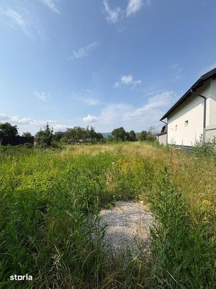 Teren de 2000 mp, în Tăuții-Măgherăuș