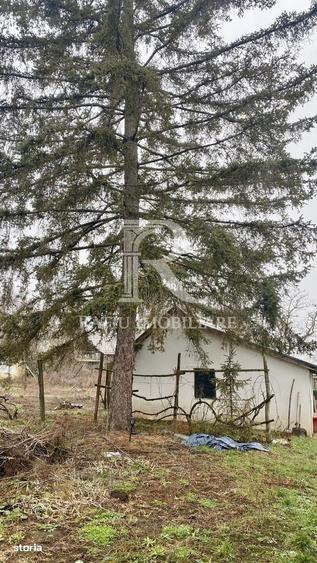 Casă cu 4 camere în Santăul Mare