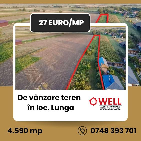 Teren agricol intravilan de 4590 mp, în Lunga