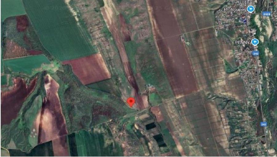 Teren de 5000 mp, în Vârlezi